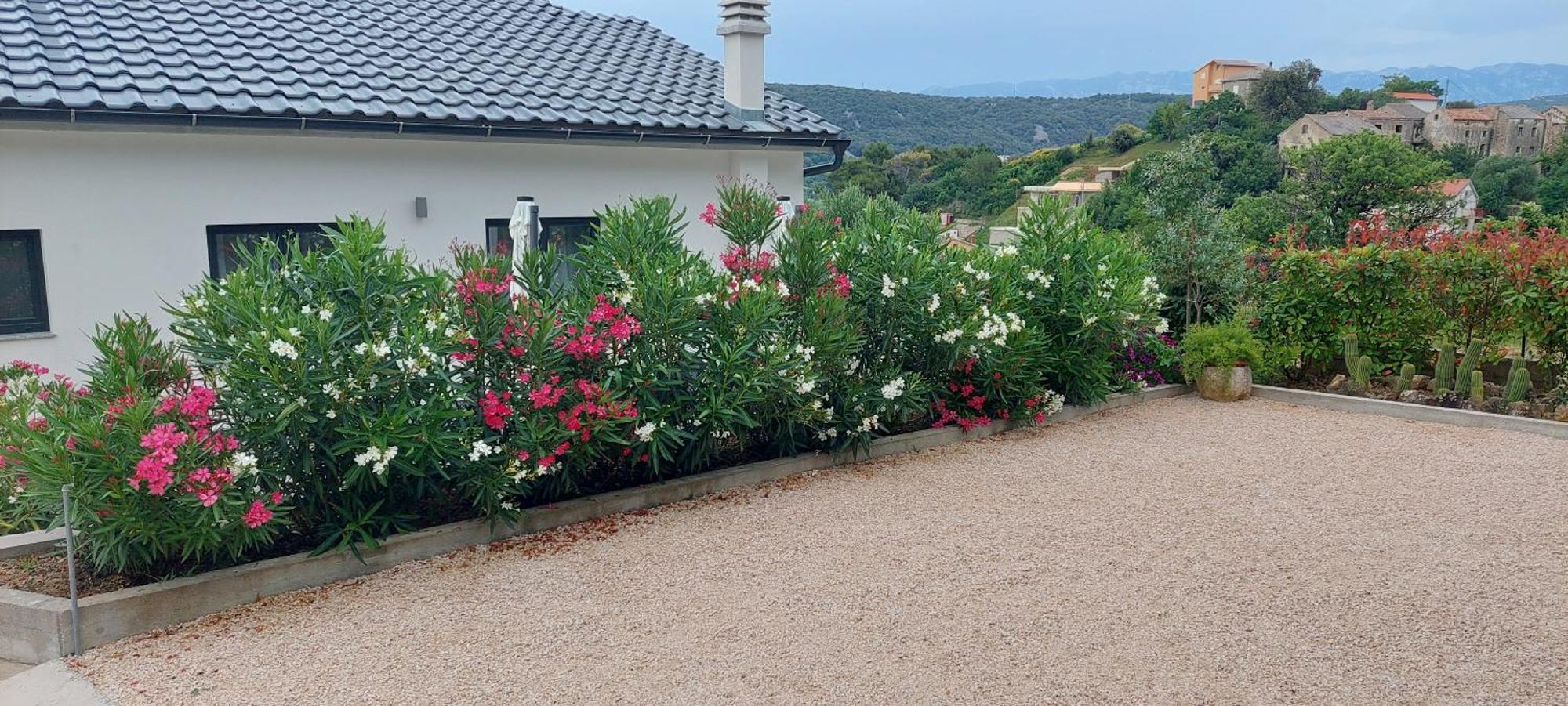 Holiday Apartments Cecilija Supetarska Draga Εξωτερικό φωτογραφία